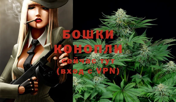 стаф Ладушкин