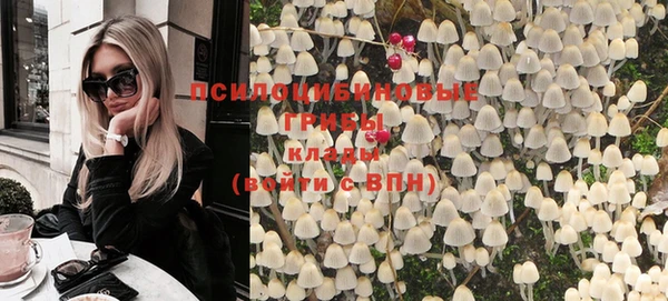 герыч Пересвет