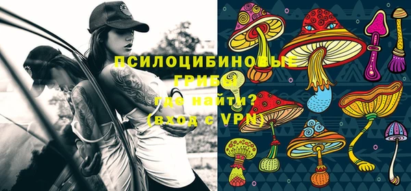стаф Ладушкин