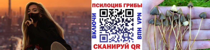 Псилоцибиновые грибы Cubensis гидра онион Лакинск как найти закладки